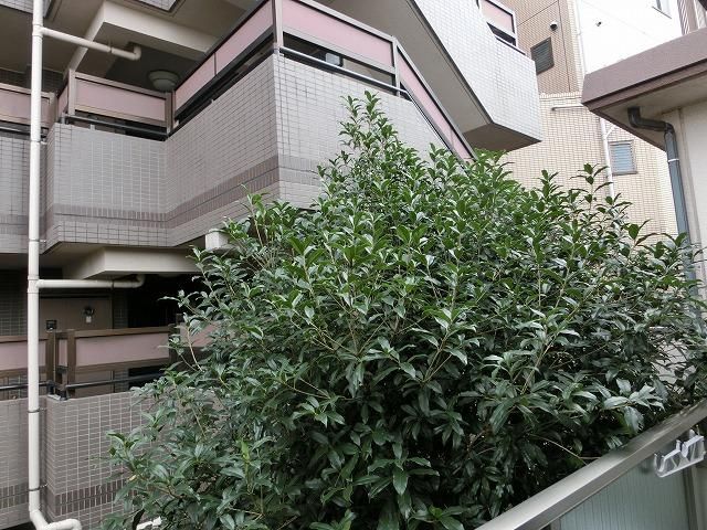 �y���]�z�@