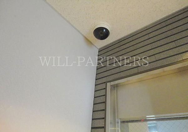 �y�Z�L�����e�B�z�@�G���g�����X�h�ƃJ����